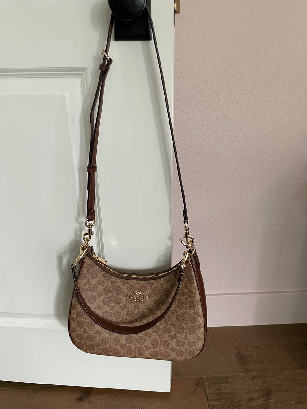 Coach Teri Hobo Bag